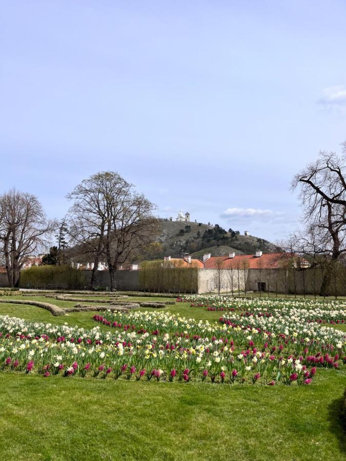 Apartmány Koněvova Mikulov Exteriér fotografie